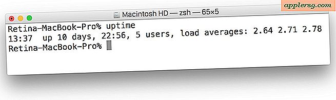 check-macs-uptime.jpg